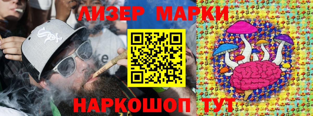 Марки N-bome 1,5мг  Вход с VPN  где продают   Отрадный 