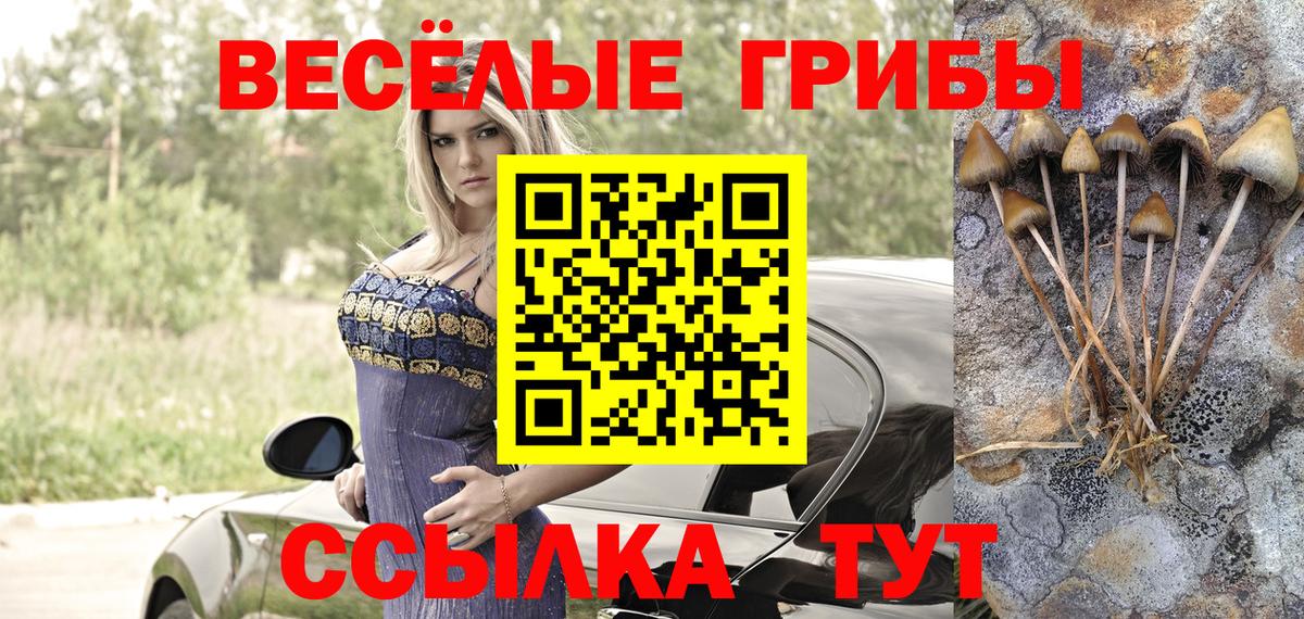 Галлюциногенные грибы мухоморы Отрадный