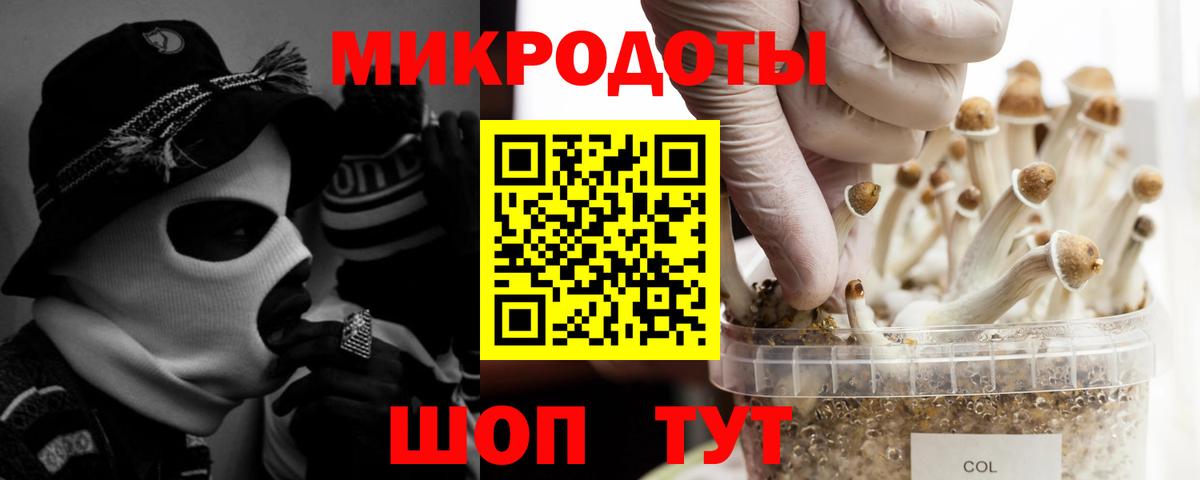 даркнет сайт  Вход с VPN  Отрадный  Псилоцибиновые грибы MAGIC MUSHROOMS 